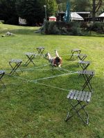 whatsapp image 2025-07-15 at 12.06.15.jpeg